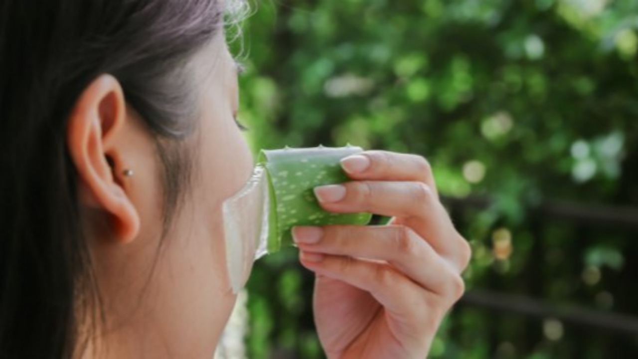 Ini 6 Manfaat Dari Lidah Buaya Untuk Kulit Dan Kesehatan